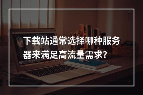 下载站通常选择哪种服务器来满足高流量需求?
