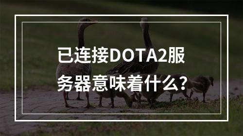 已连接DOTA2服务器意味着什么?