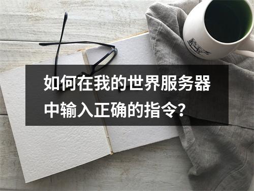如何在我的世界服务器中输入正确的指令?