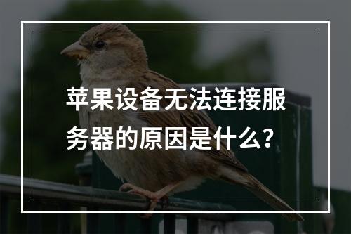 苹果设备无法连接服务器的原因是什么?