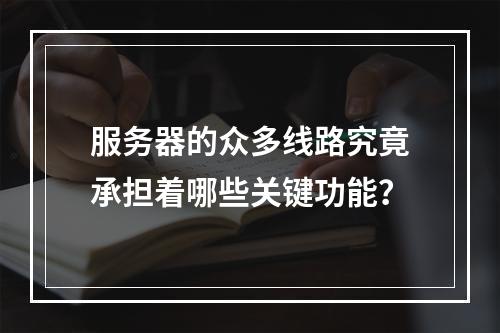 服务器的众多线路究竟承担着哪些关键功能?