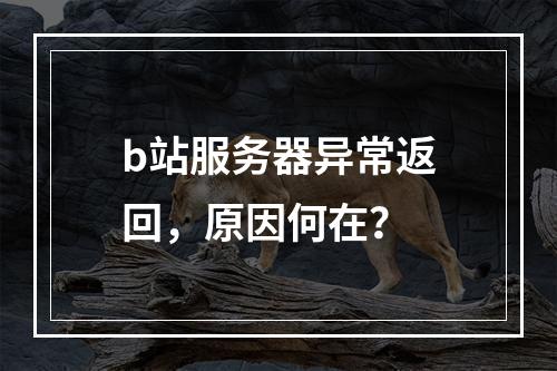 b站服务器异常返回,原因何在?