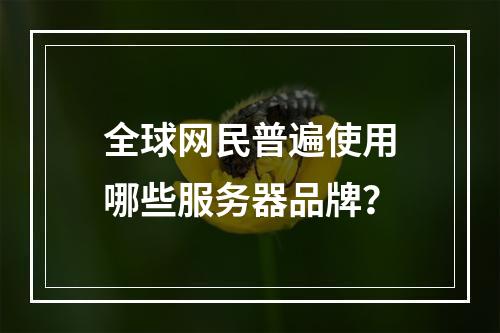 全球网民普遍使用哪些服务器品牌?