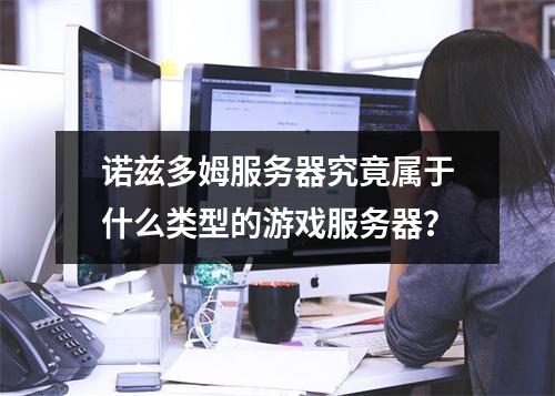 诺兹多姆服务器究竟属于什么类型的游戏服务器?