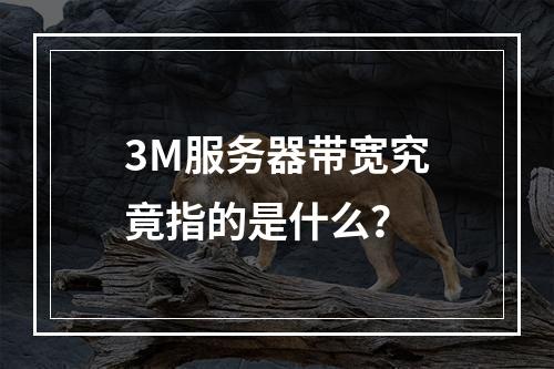 3M服务器带宽究竟指的是什么?