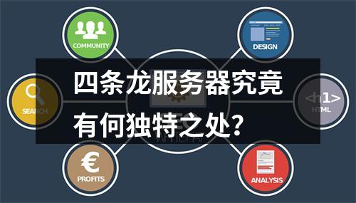 四条龙服务器究竟有何独特之处?