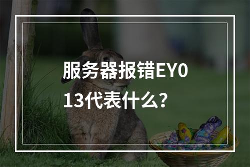 服务器报错EY013代表什么?