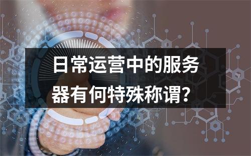 日常运营中的服务器有何特殊称谓?