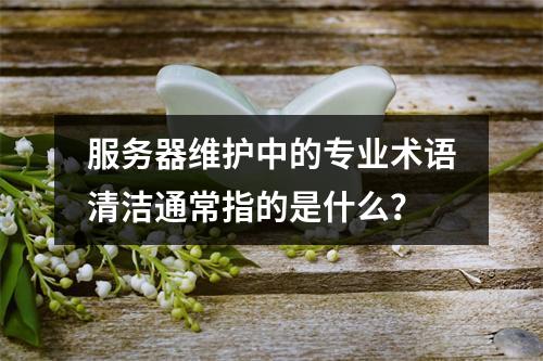 服务器维护中的专业术语清洁通常指的是什么?