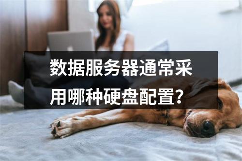 数据服务器通常采用哪种硬盘配置?