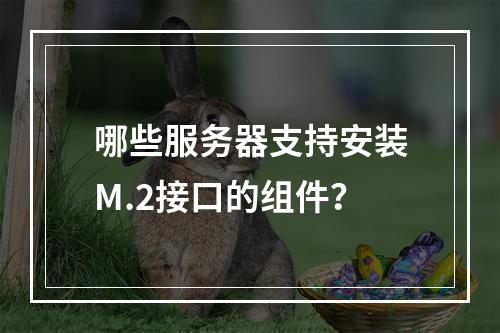 哪些服务器支持安装M.2接口的组件?