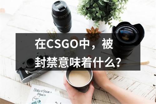 在CSGO中,被封禁意味着什么?