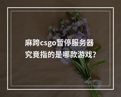 麻跨csgo暂停服务器究竟指的是哪款游戏?