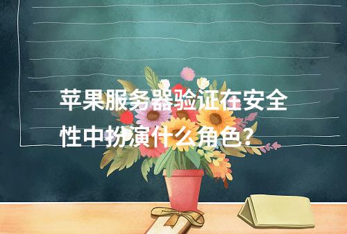 苹果服务器验证在安全性中扮演什么角色?