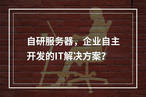 自研服务器,企业自主开发的IT解决方案?