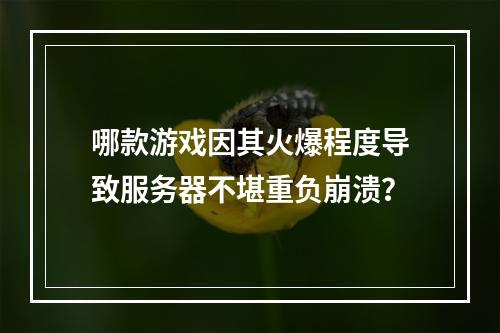 哪款游戏因其火爆程度导致服务器不堪重负崩溃?