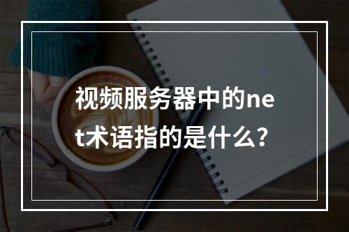 视频服务器中的net术语指的是什么?