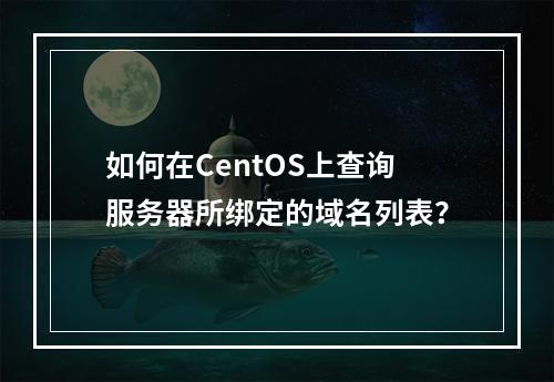 如何在CentOS上查询服务器所绑定的域名列表?