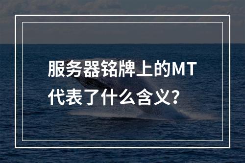 服务器铭牌上的MT代表了什么含义?