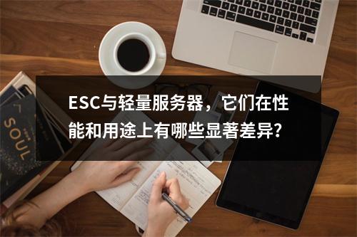 ESC与轻量服务器,它们在性能和用途上有哪些显著差异?