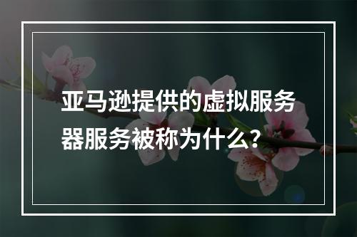 亚马逊提供的虚拟服务器服务被称为什么?