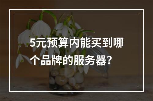 5元预算内能买到哪个品牌的服务器?