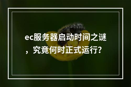 ec服务器启动时间之谜,究竟何时正式运行?