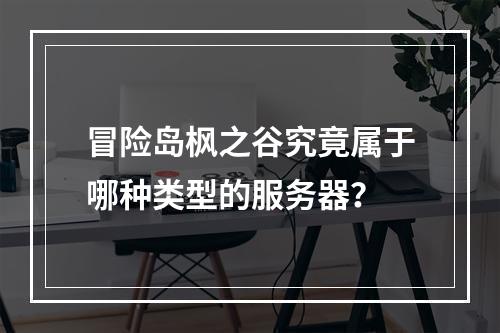 冒险岛枫之谷究竟属于哪种类型的服务器?