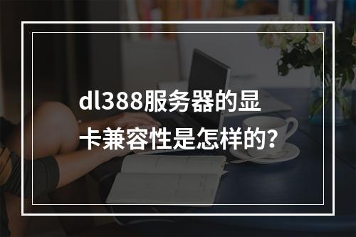 dl388服务器的显卡兼容性是怎样的?