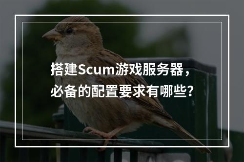 搭建Scum游戏服务器,必备的配置要求有哪些?