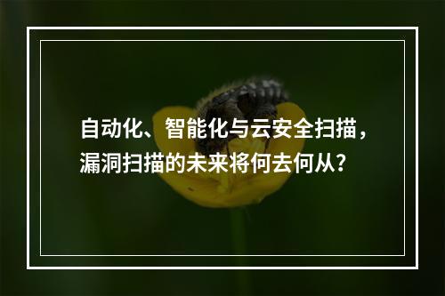 自动化、智能化与云安全扫描,漏洞扫描的未来将何去何从?