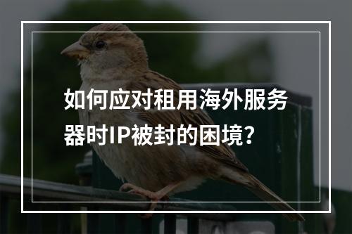 如何应对租用海外服务器时IP被封的困境?