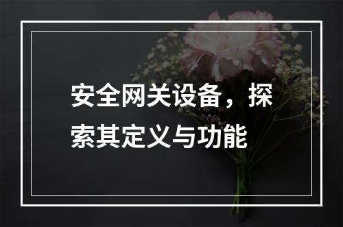 安全网关设备,探索其定义与功能