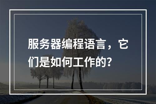 服务器编程语言,它们是如何工作的?