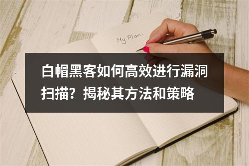 白帽黑客如何高效进行漏洞扫描?揭秘其方法和策略
