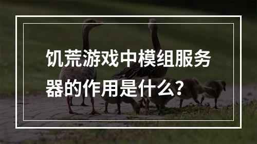 饥荒游戏中模组服务器的作用是什么?