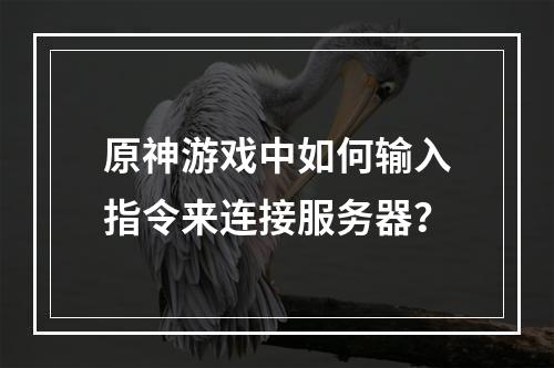 原神游戏中如何输入指令来连接服务器?