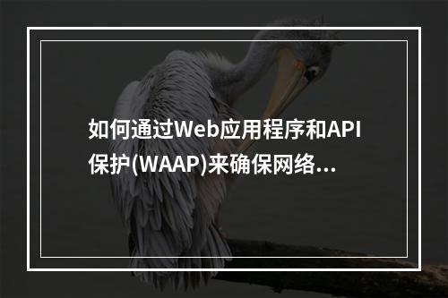 如何通过Web应用程序和API保护(WAAP)来确保网络安全?