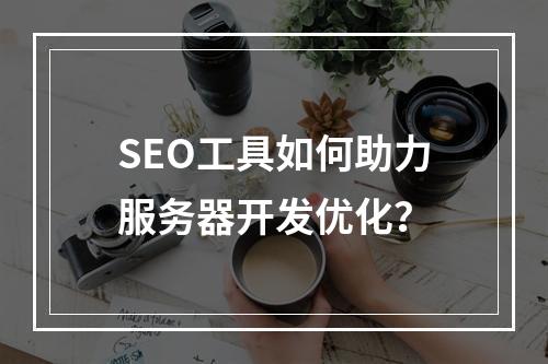 SEO工具如何助力服务器开发优化?