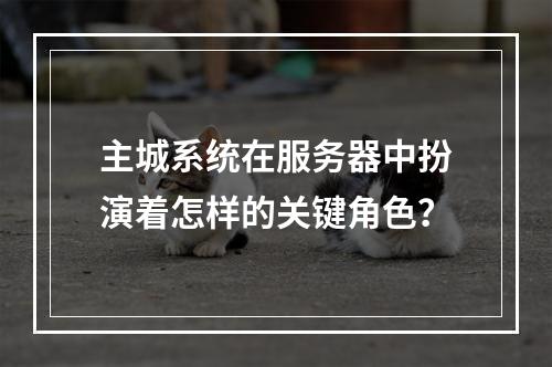 主城系统在服务器中扮演着怎样的关键角色?