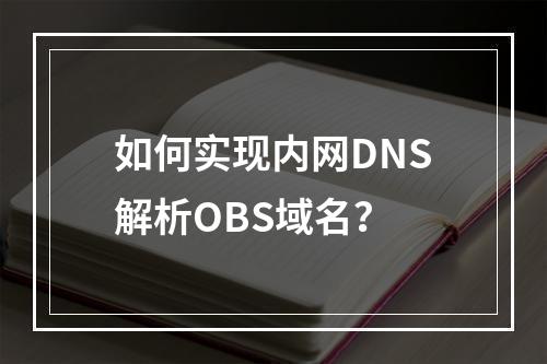 如何实现内网DNS解析OBS域名?