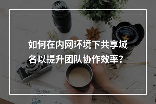 如何在内网环境下共享域名以提升团队协作效率?