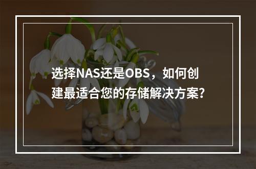 选择NAS还是OBS,如何创建最适合您的存储解决方案?