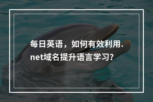 每日英语,如何有效利用.net域名提升语言学习?