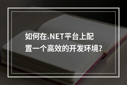 如何在.NET平台上配置一个高效的开发环境?