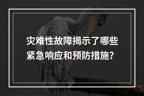 灾难性故障揭示了哪些紧急响应和预防措施?