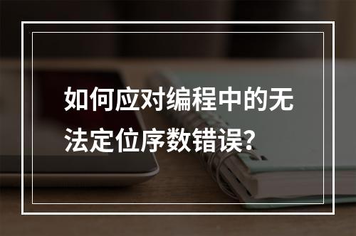 如何应对编程中的无法定位序数错误?