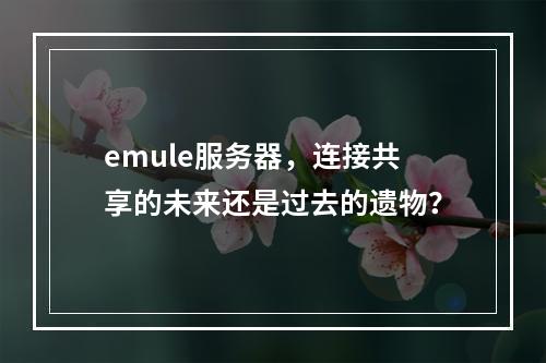 emule服务器,连接共享的未来还是过去的遗物?