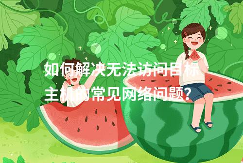 如何解决无法访问目标主机的常见网络问题?