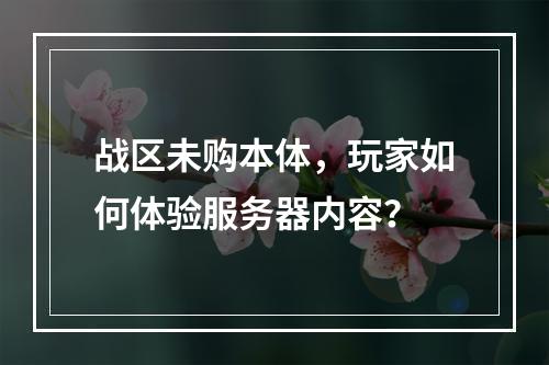 战区未购本体,玩家如何体验服务器内容?